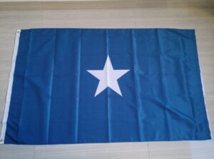 Bonnie Blue Flag